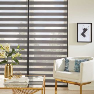 Vision Blinds